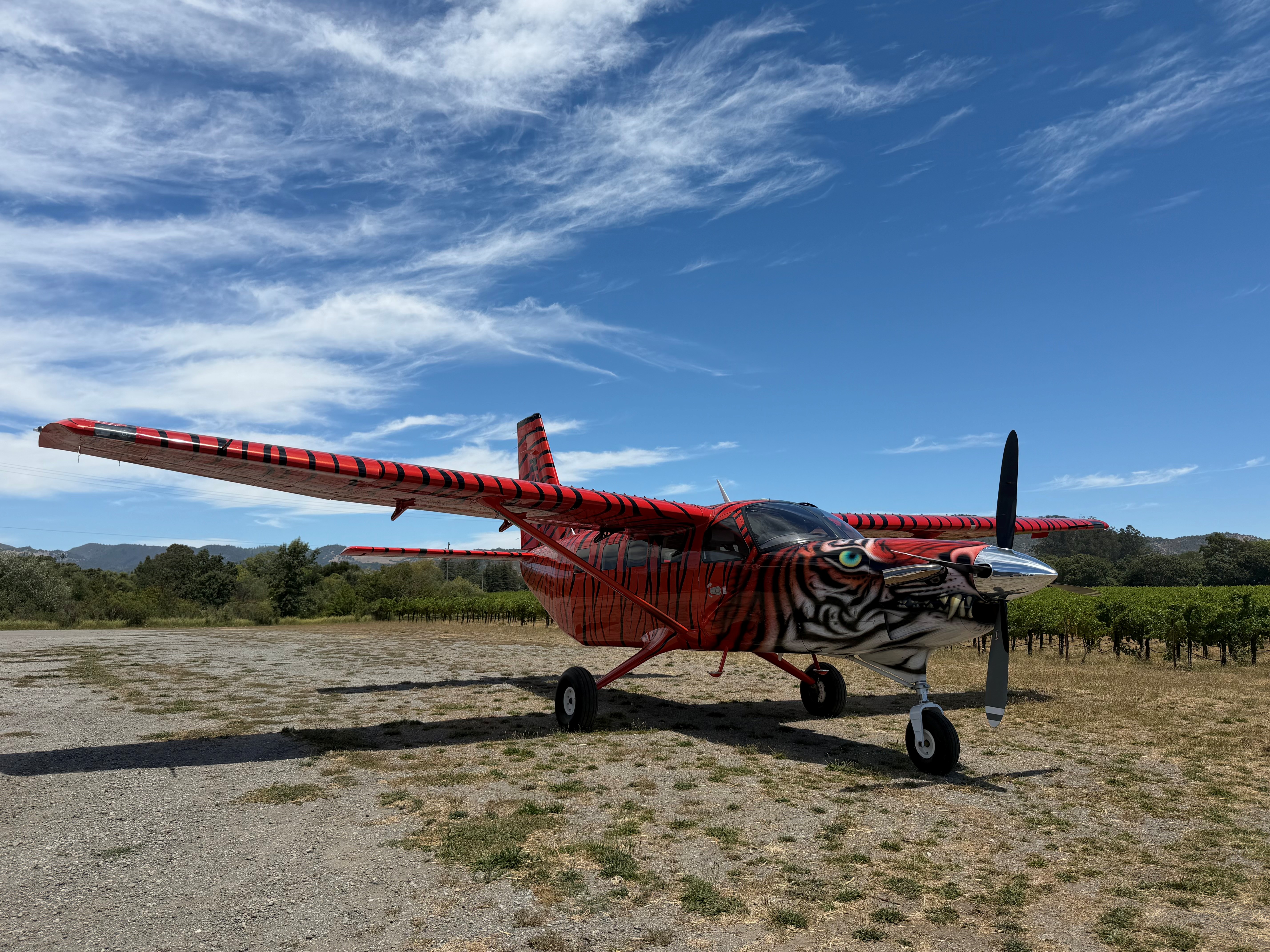Bad Kitty parked on a dirt strip beside a vineyard under a blue sky