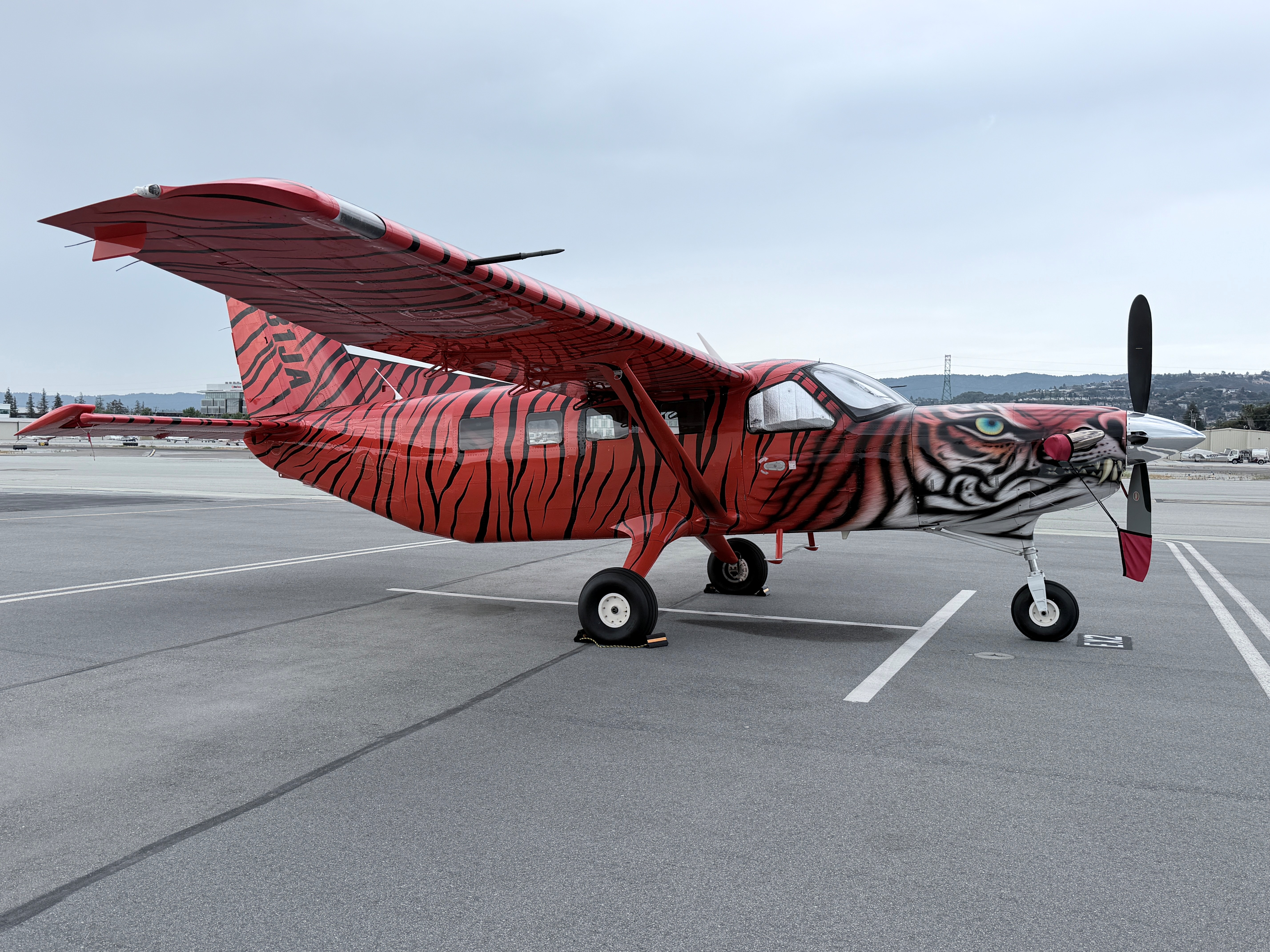 Three-quarter view of Bad Kitty showing the painted tiger face on the nose